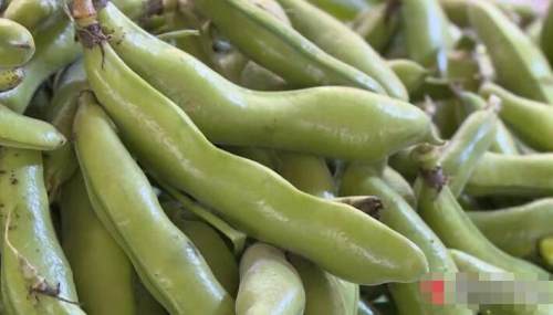 时令蔬菜新鲜上市 蚕豆豌豆"唱主角"