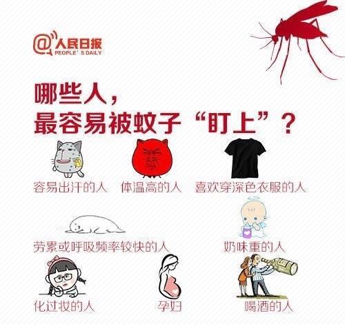 对付蚊子你有什么高招