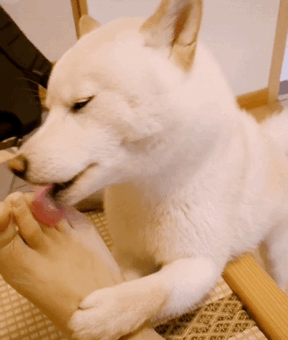 点击播放 gif      m