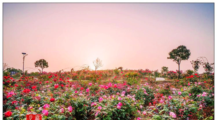 随州炎帝故里的后花园炎帝紫薇园