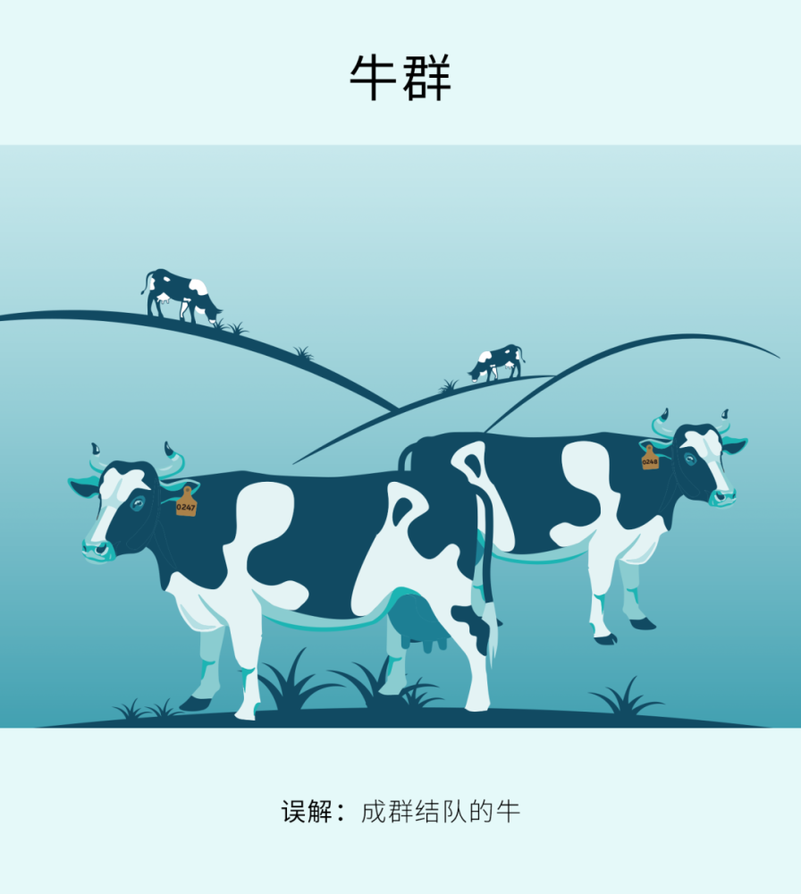 牛群究竟有多少牛