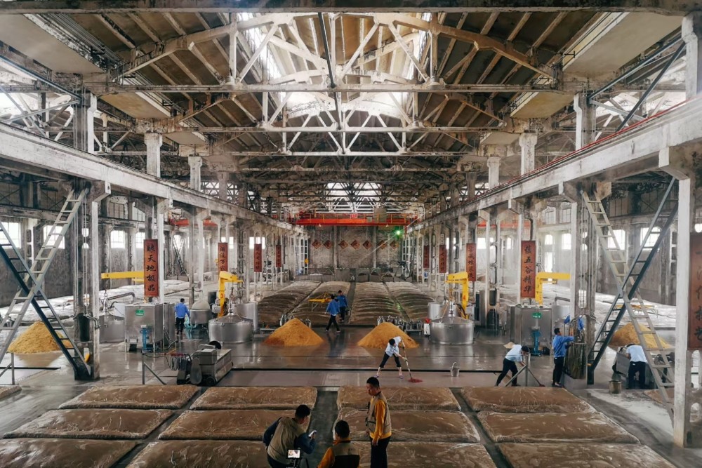 欧阳千里金徽酒被酒业忽视的西北力量