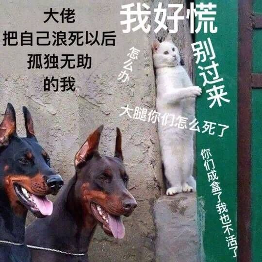 我是一名特种兵来自和平精英,每天开开心心上线,只为骂骂咧咧下线