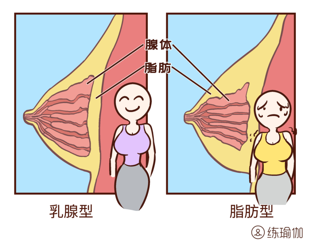 做了100次俯卧撑后 神奇的一幕出现了 我的肚子和胸发生了惊人变化