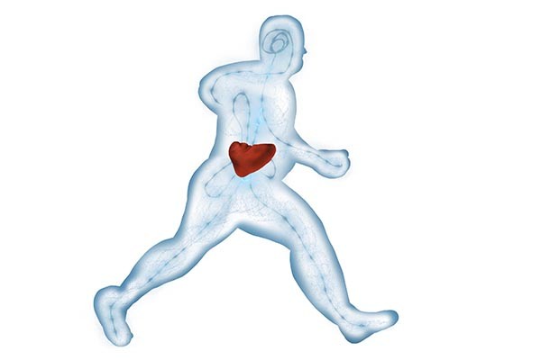 大便不成形是什么原因造成的（常年大便不成形是怎么回事）