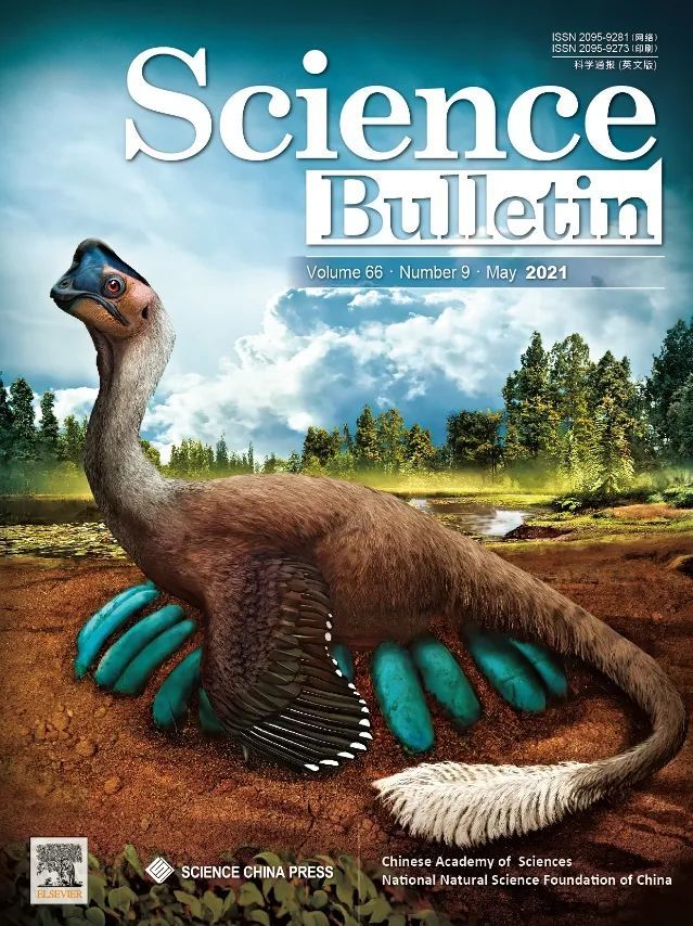 世界上首次发现正在孵蛋的窃蛋龙成体和胚胎蛋窝一体化石