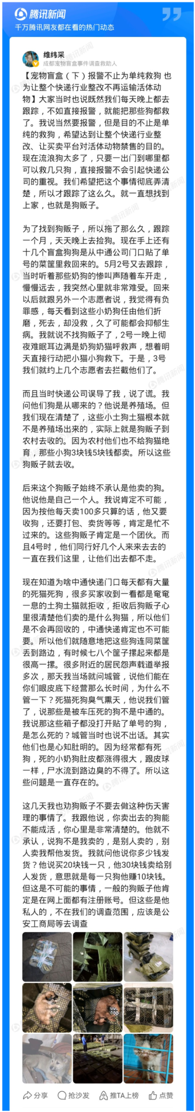 成都市区现大量宠物盲盒救助人快递站门口都是死猫死狗