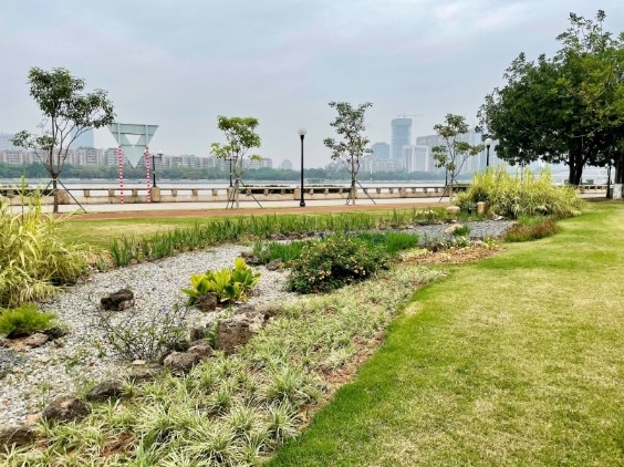 阅江路碧道雨水花园强化实施保障:研究制定海绵城市建设激励措施在