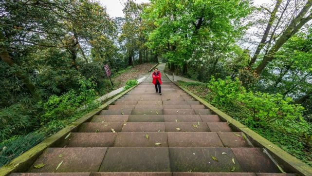 现在去峨眉山徒步,每走一步都是薅羊毛67