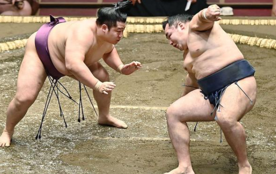 也有很多运动,并没有得到,大多数人的喜欢,就比如拳击,综合格斗,相扑