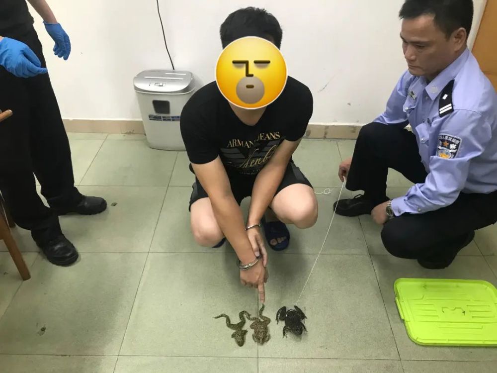 广东一男子在水沟抓了3只蛙,刑事拘留!