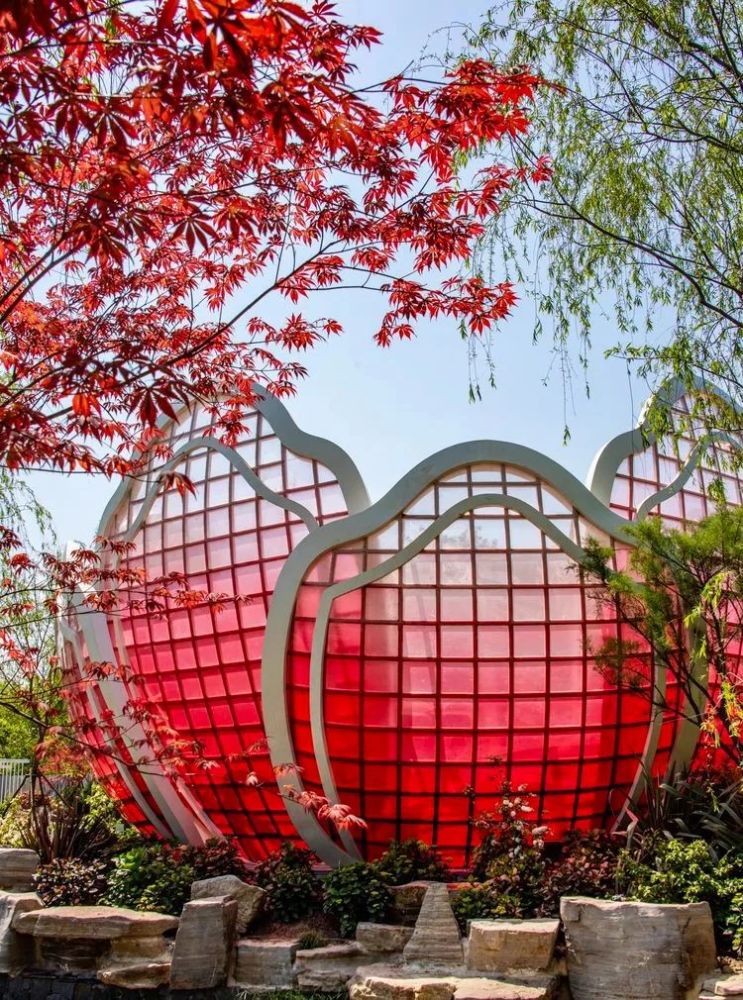 【崇明花博】一大波美图来袭,这场花博盛会太惊艳!