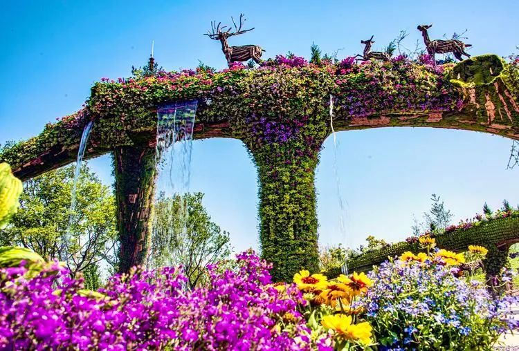 【崇明花博】一大波美图来袭,这场花博盛会太惊艳!