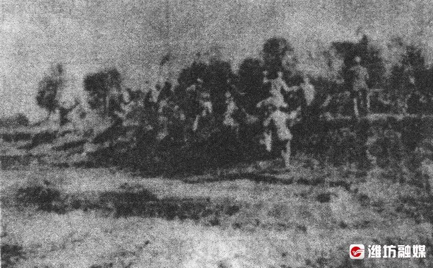 潍坊记忆扭转山东战局胶河战役