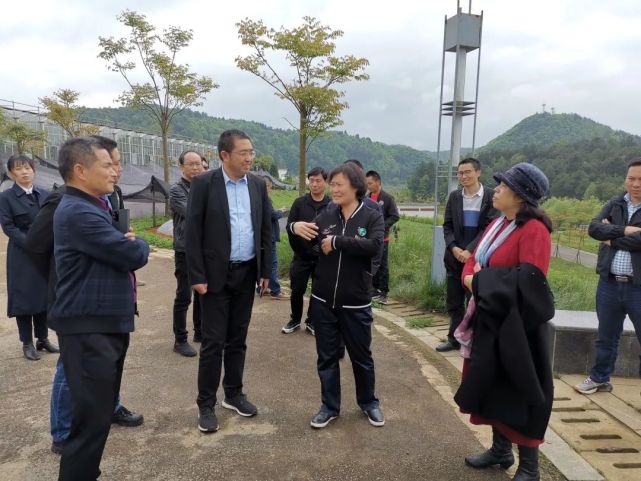 丰岛控股集团莅临贵州省考察调研花卉产业