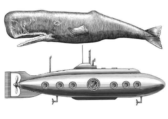 鲸鱼是肉做的,潜入3千米深海没事,为何军用潜艇却会被压扁?_腾讯新闻