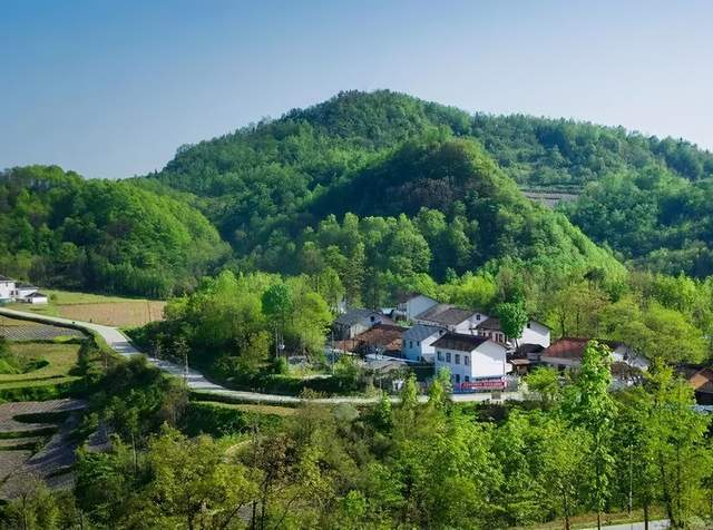 大巴山裡紅彤彤,青山綠水好風景,花兒為何這樣紅?紅軍烈士血染成.