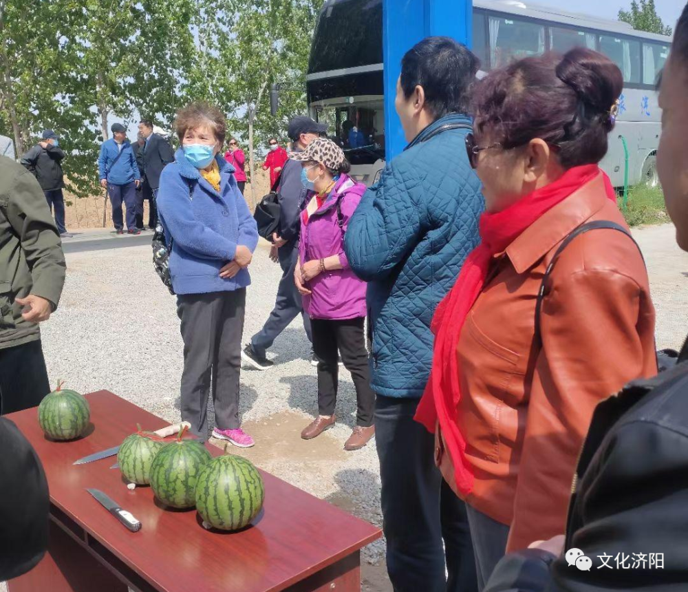 仁风镇各富硒西瓜采摘园,垛石如意采摘园,善耕缘等园区推出了丰富多彩