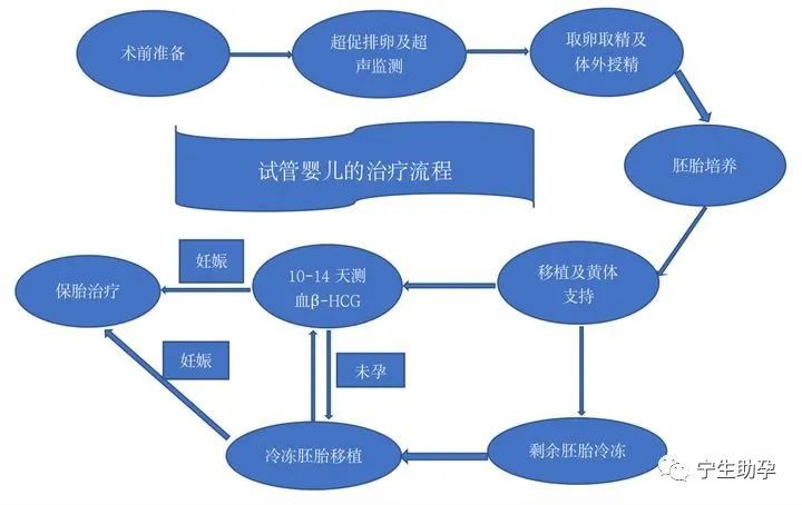 做试管婴儿的条件(做试管可以选择孩子性别吗)-第1张图片-鲸幼网