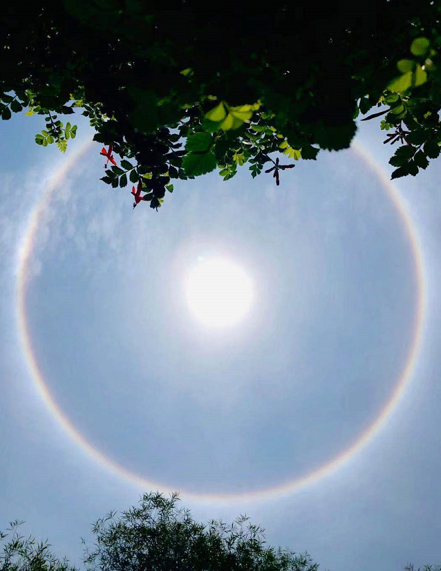 让厦门瞬间光芒万丈好似为太阳戴上了"美瞳"环绕着太阳又大又圆的白泛