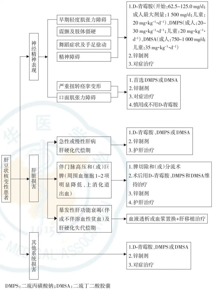 肝豆状核变性wilson病如何诊治2021新版指南这样建议指南共识