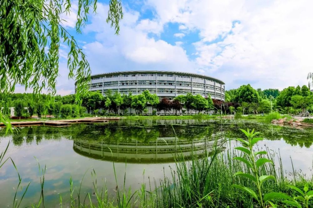 中原工学院怎么样升级大学有希望吗多少分考得上