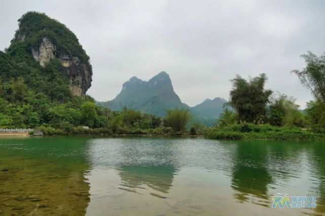 旅遊見聞之老木棉景區