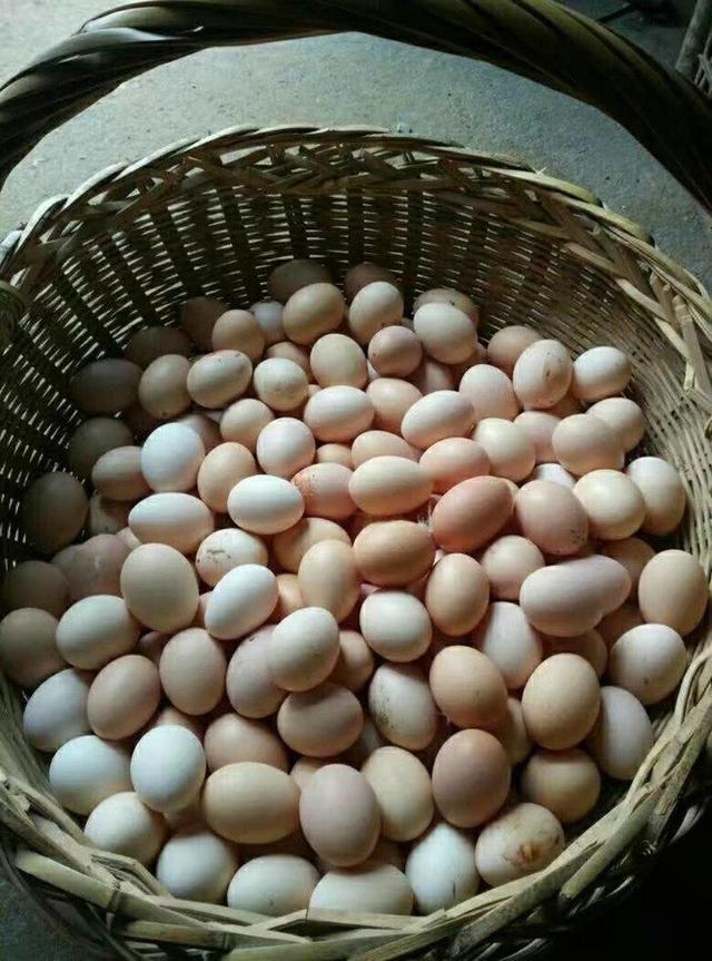 母亲送来一筐鸡蛋,丈夫当天就拿给了婆婆,妻子哭着要离婚_腾讯新闻