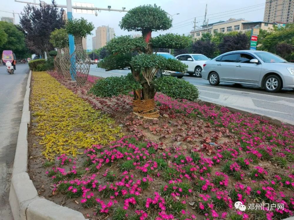 邓州市区这些地方大变样!焕然一新