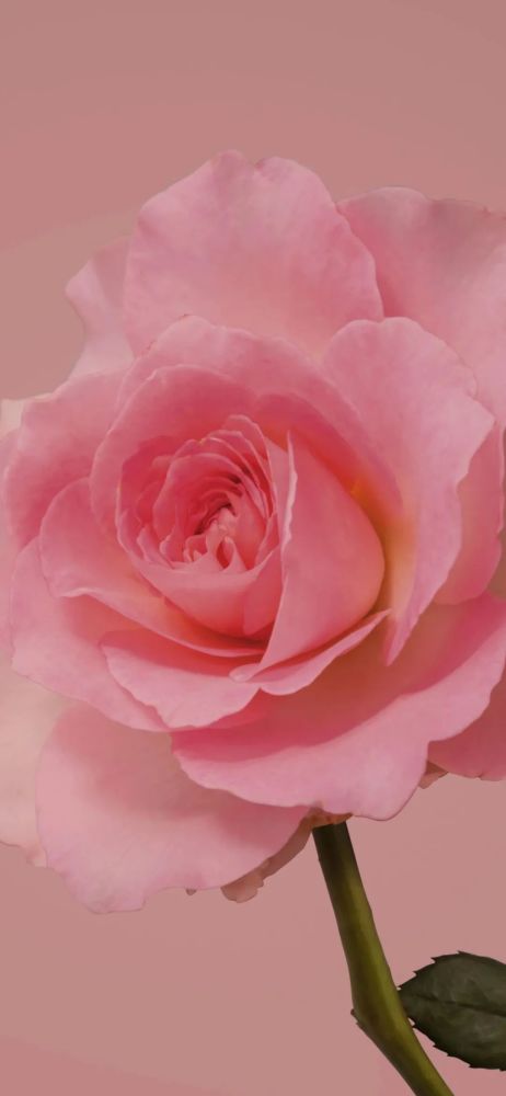 Iphone壁纸 超精致苹果壁纸高清5 7 腾讯新闻