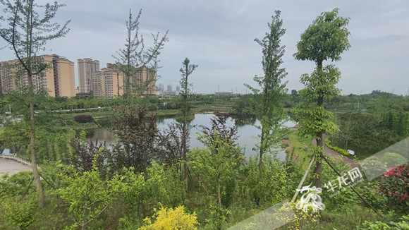 以生态优先促绿色发展来看重庆大足双桥经开区如何做