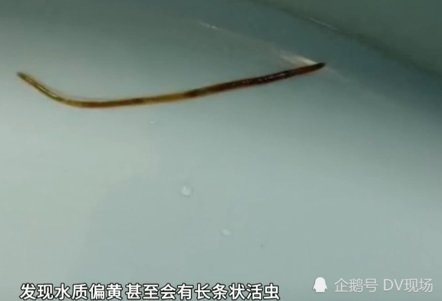 自来水惊现活虫,业主质疑水质和设备不干净