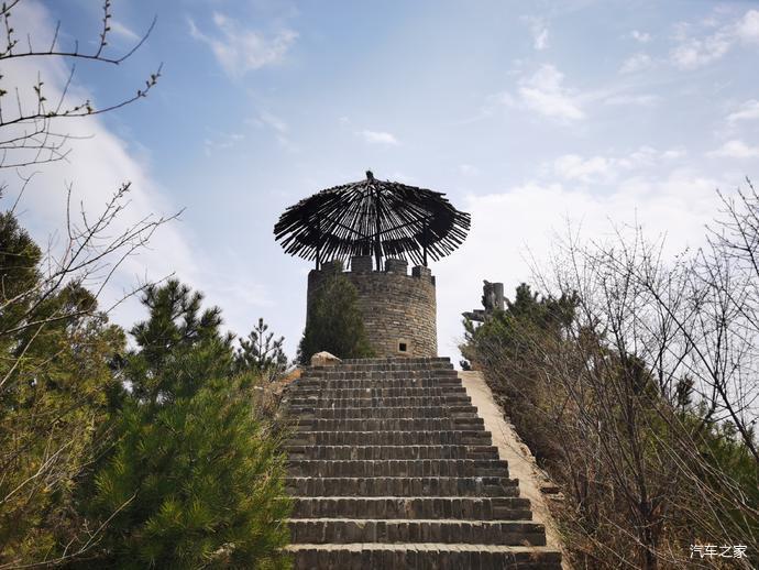 上十九圖:山西省,太原市,玉泉山,山間野菜:野苦菊,野苜蓿3/山西大學城