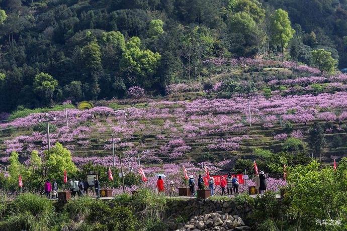 福建遊10寧德福安穆陽桃花節觀賞