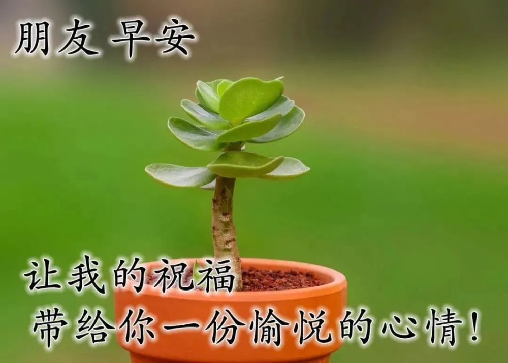 ףƼ_2023һף_ףýĻ