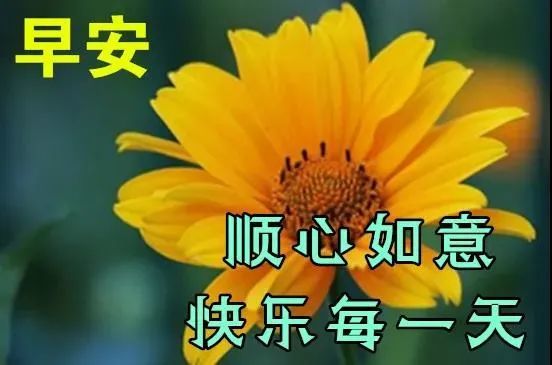 非常漂亮好看的早安祝福语图片大全,经典唯美早上好问候温馨祝福语