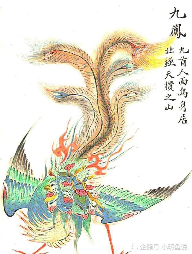 九头鸟与湖北人有什么关系|九头凤|楚国|山海经|九凤