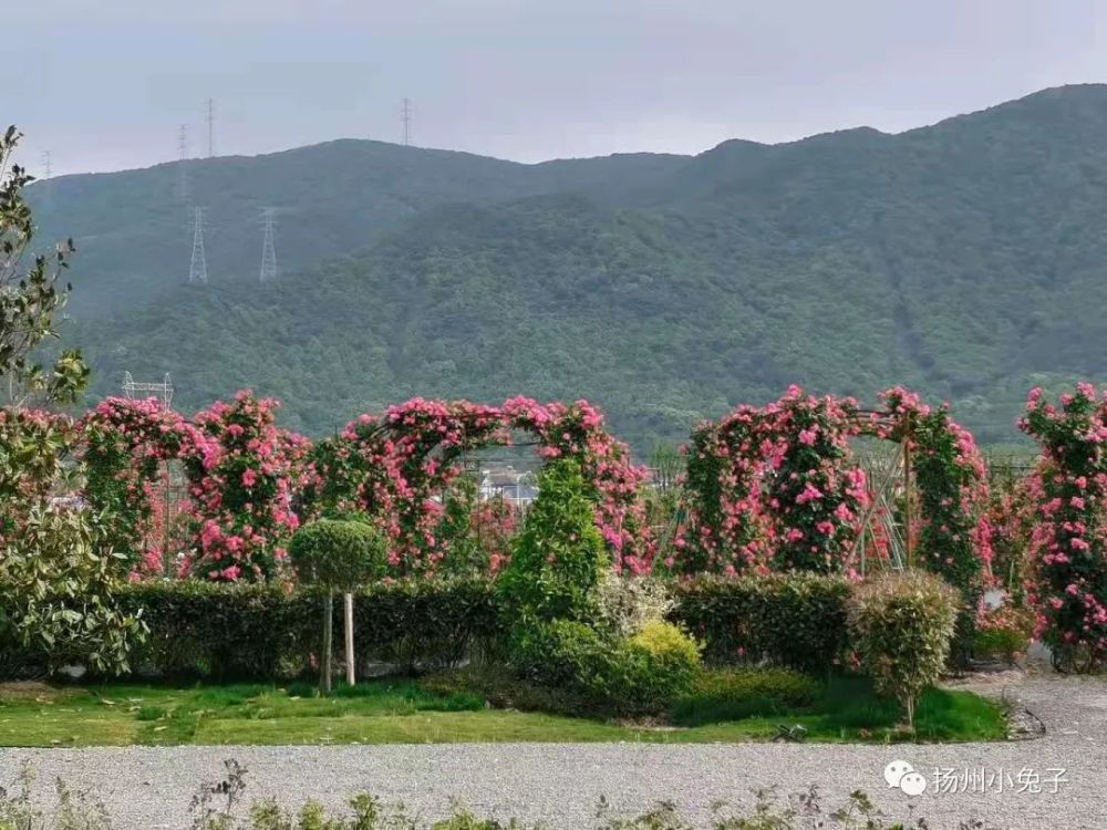 令人惊艳的东港展茅和我一起看看它如何展什么茅
