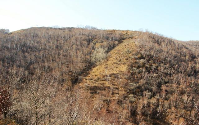 这座无名山高约30米,长不足100米,左边高,右边低,山后150米处有连绵