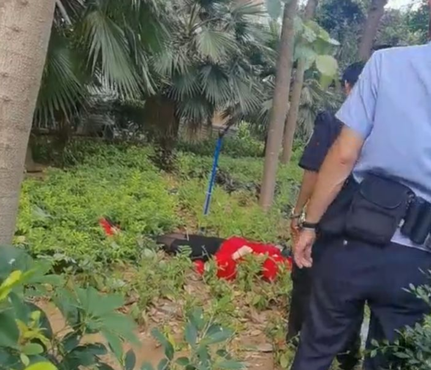 三亚女子阳台跳舞坠楼:拍视频只是一个幌子,目的是想拖延时间