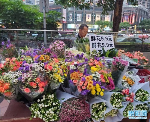 临近母亲节 鲜花玫瑰 康乃馨价格将会小幅上涨 腾讯新闻