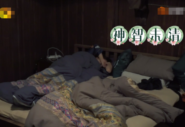 蘑菇屋一家半夜一点多起床彭彭形象全无张艺兴却很有爱豆自觉