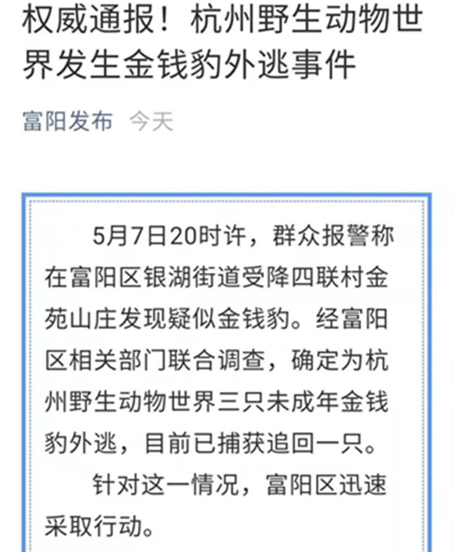 杭州野生動物世界三隻金錢豹外逃,已追回一隻,警方提醒發現蹤跡及時