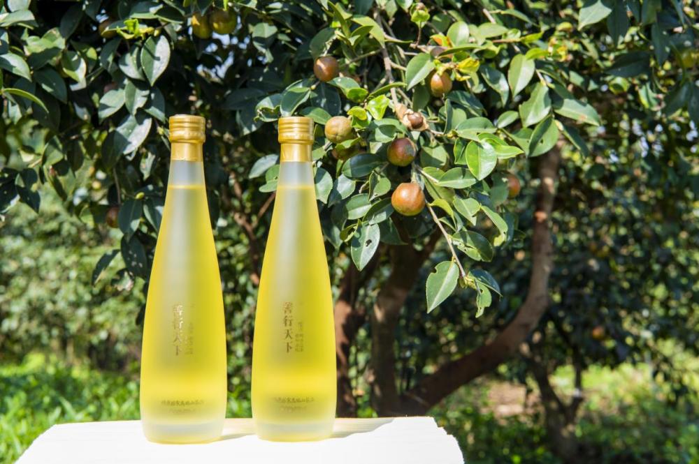 善行天下山茶油,甄选中国北纬26°-28°黄金产区上生长的油茶果,远离