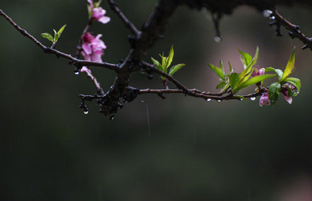 细雨绵绵滋润万物