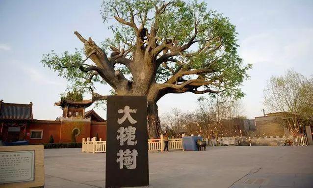 为什么北方人都说自己的祖籍在洪洞县大槐树村