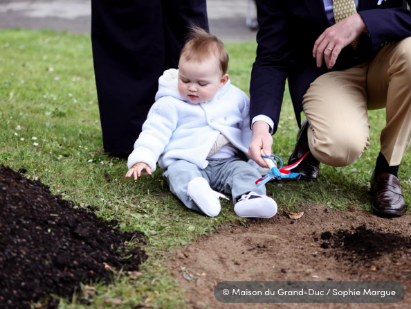 卢森堡小王子一岁啦!胖嘟嘟,俏憨憨的小萌物可爱到直挠人心
