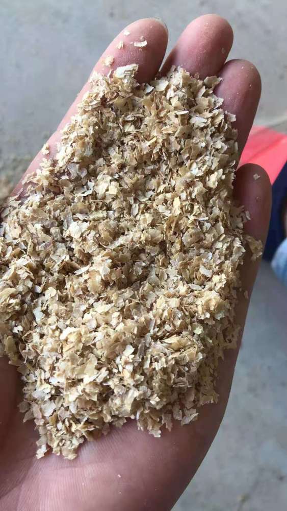 很多养猪人把麦麸作为猪的饲料用,因为小麦打过后,面留着人吃.