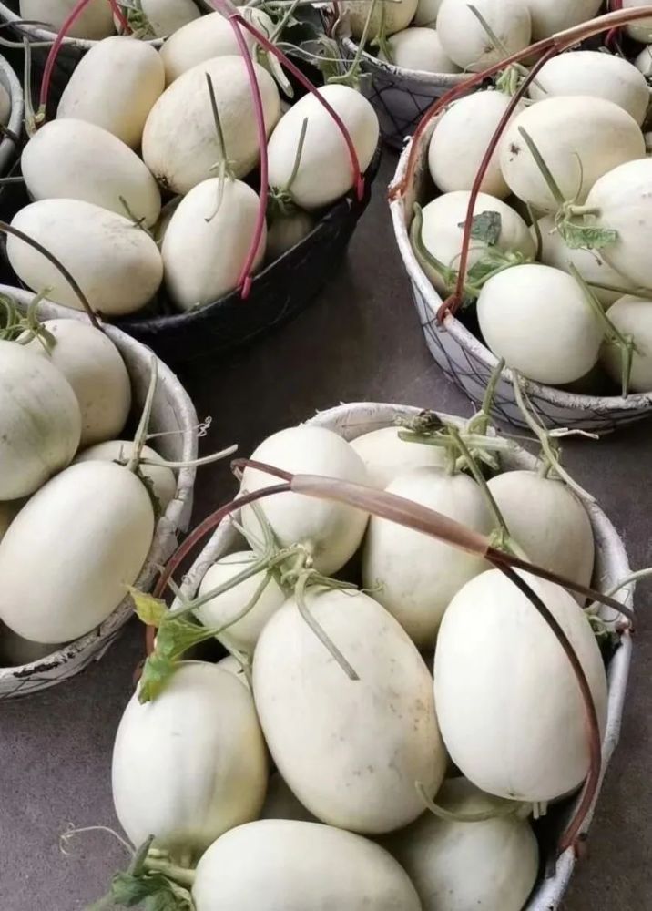 崇明美味已上市快来尝鲜