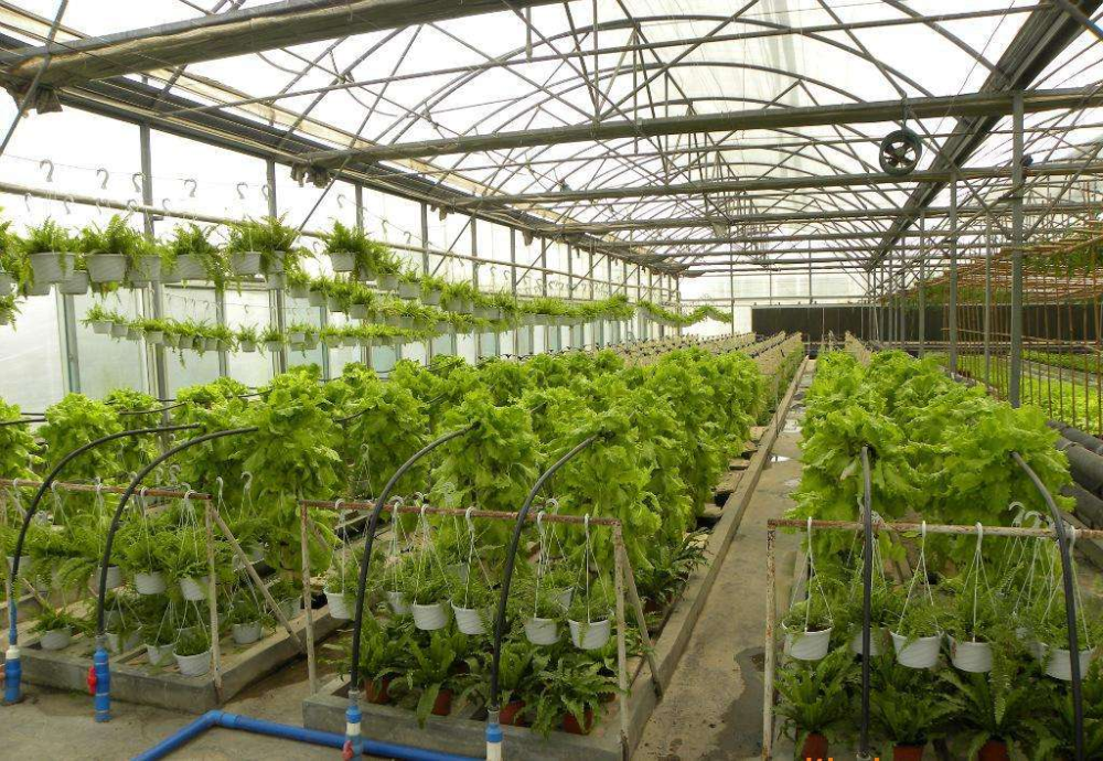 智慧大棚对传统农业进行精细化管理它的智慧如何体现